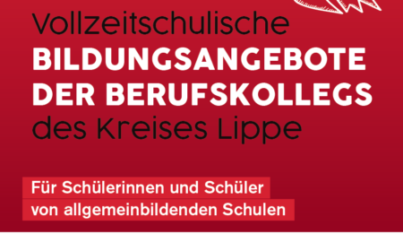 Vollzeitschulische Bildungsangebote der Berufskollegs des Kreises Lippe